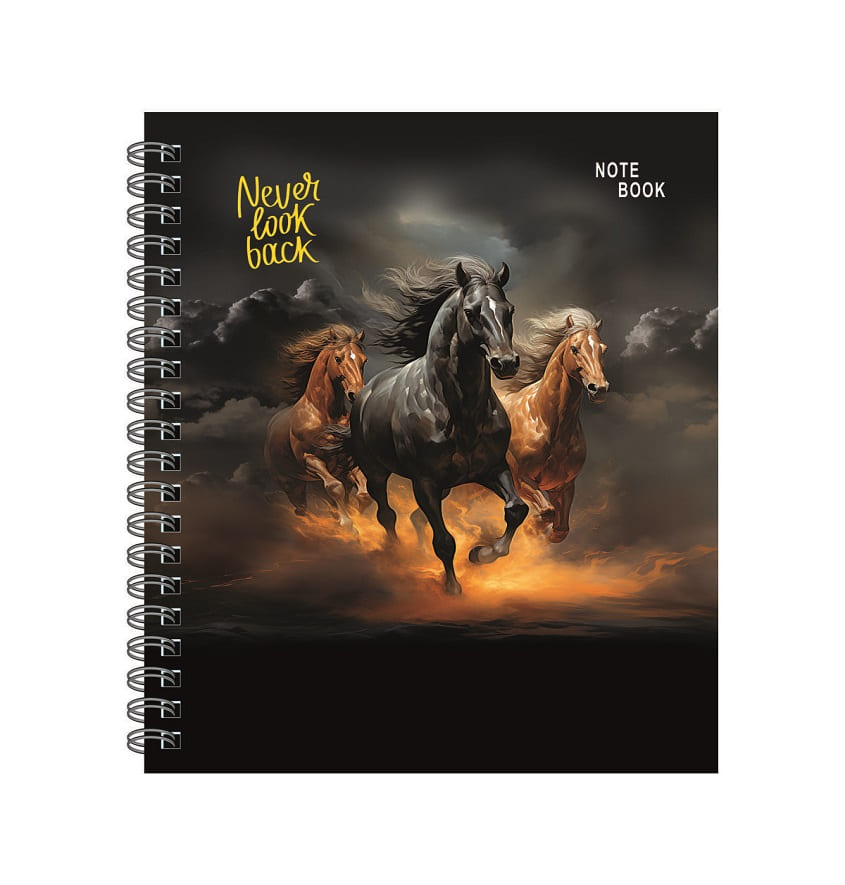 Service Provider of 4D Effect Wire O Binding Never Look Back Notebook in New Delhi, Delhi, India