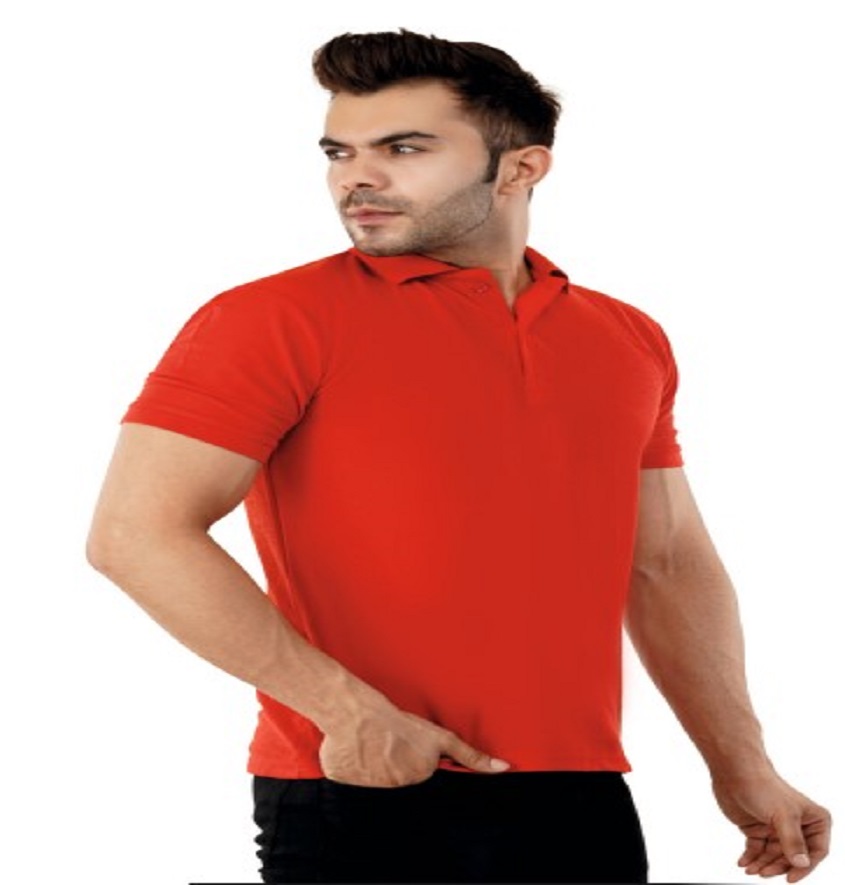 Service Provider of Atlas Collar Neck T Shirt in New Delhi, Delhi, India