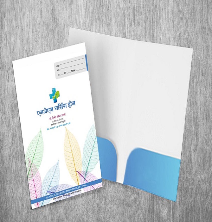 Service Provider of Double Pocket File Folders Printing Service in New Delhi, Delhi, India