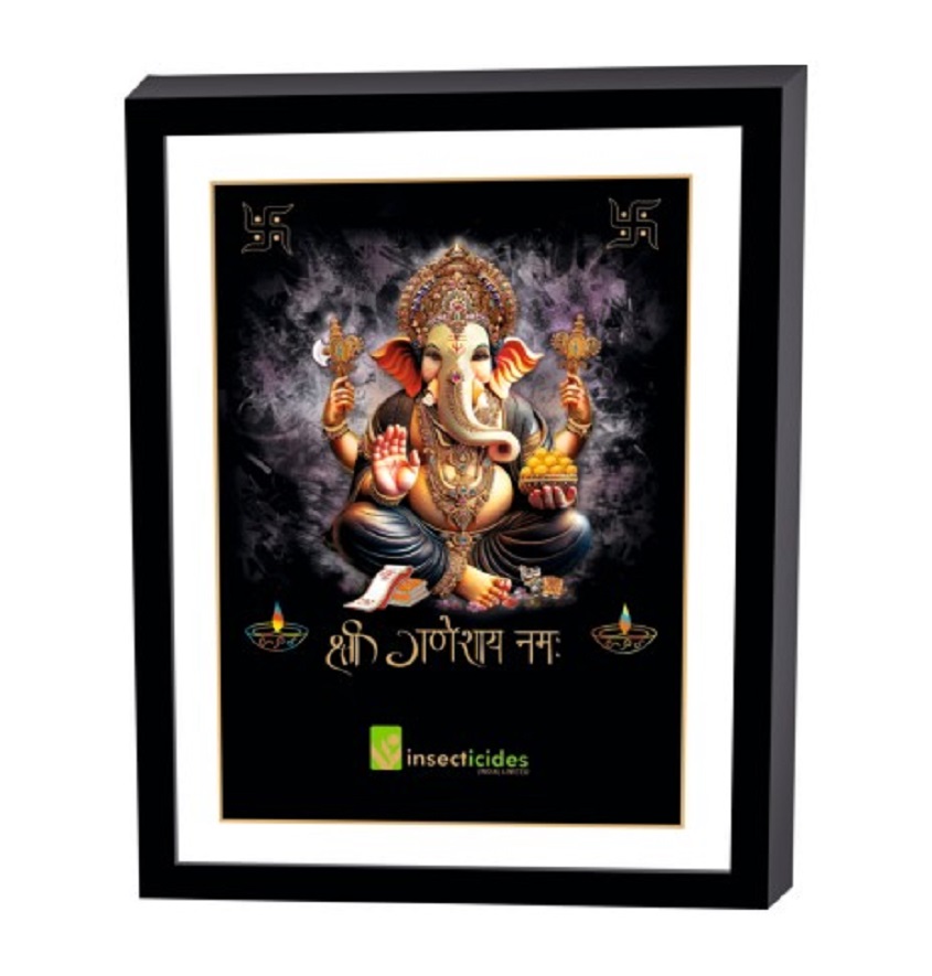 Service Provider of Elegant Art Box Frame & Flat Frame Ganesh in New Delhi, Delhi, India