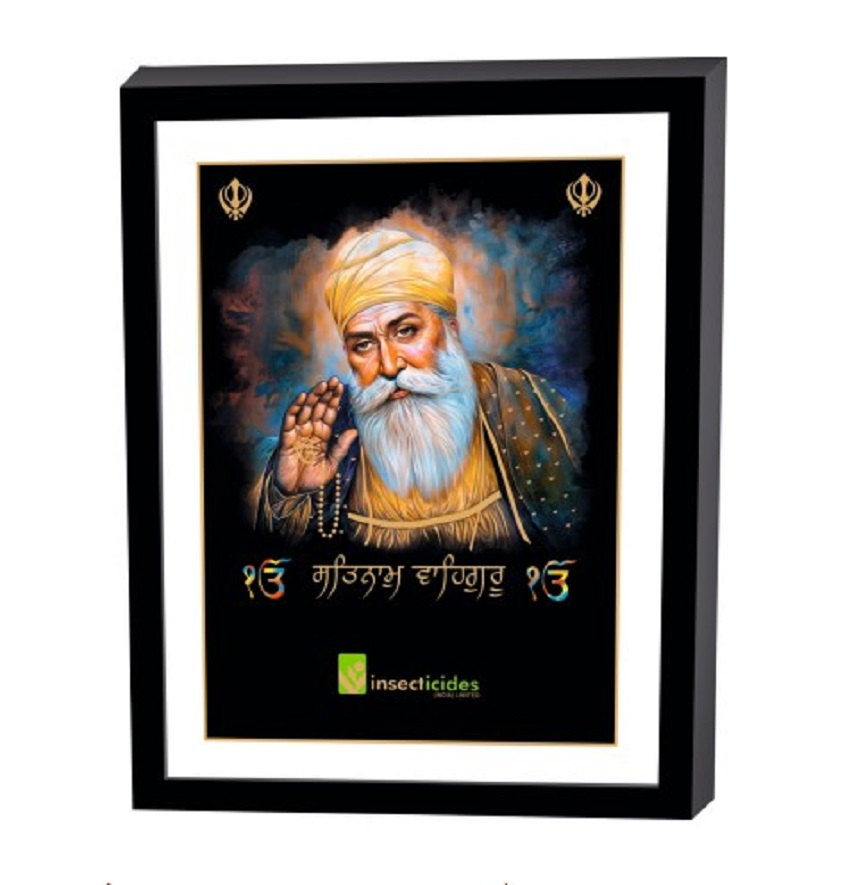 Service Provider of Elegant Art Box Frame & Flat Frame Gurunanak in New Delhi, Delhi, India