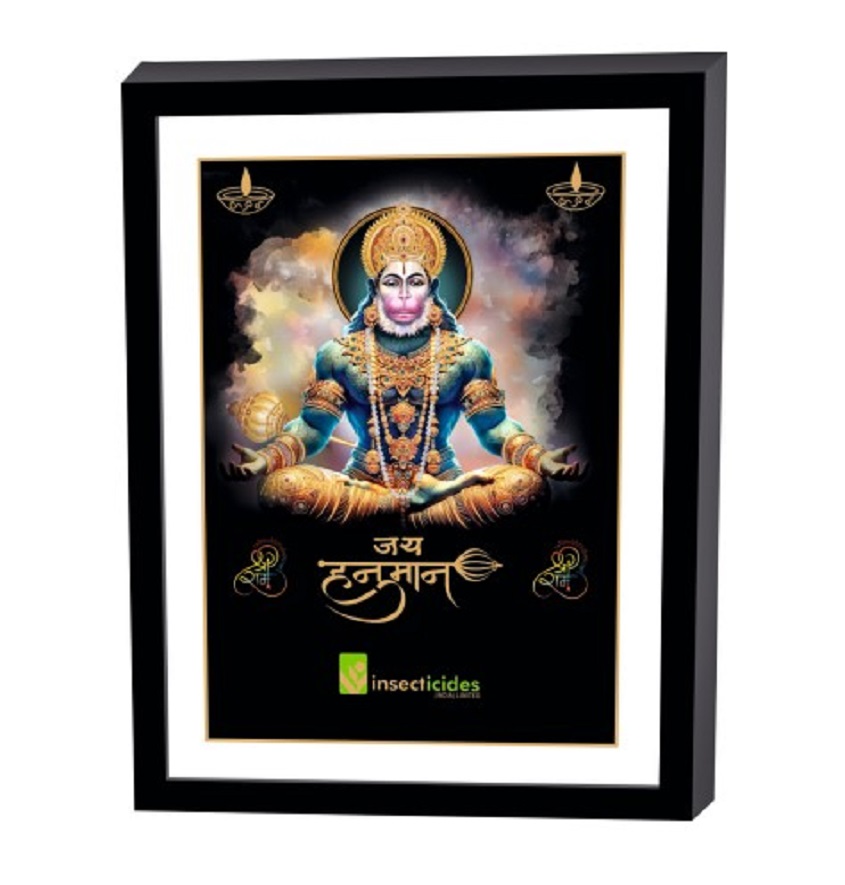 Service Provider of Elegant Art Box Frame & Flat Frame Hanuman in New Delhi, Delhi, India