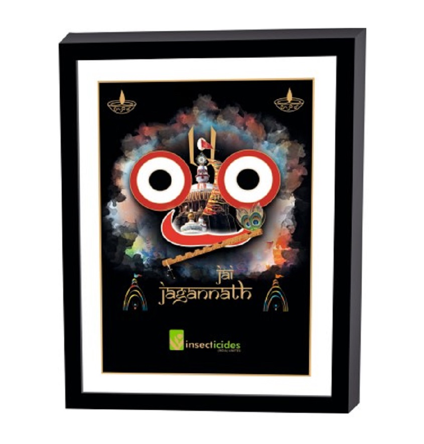 Service Provider of Elegant Art Box Frame & Flat Frame Jagannath in New Delhi, Delhi, India