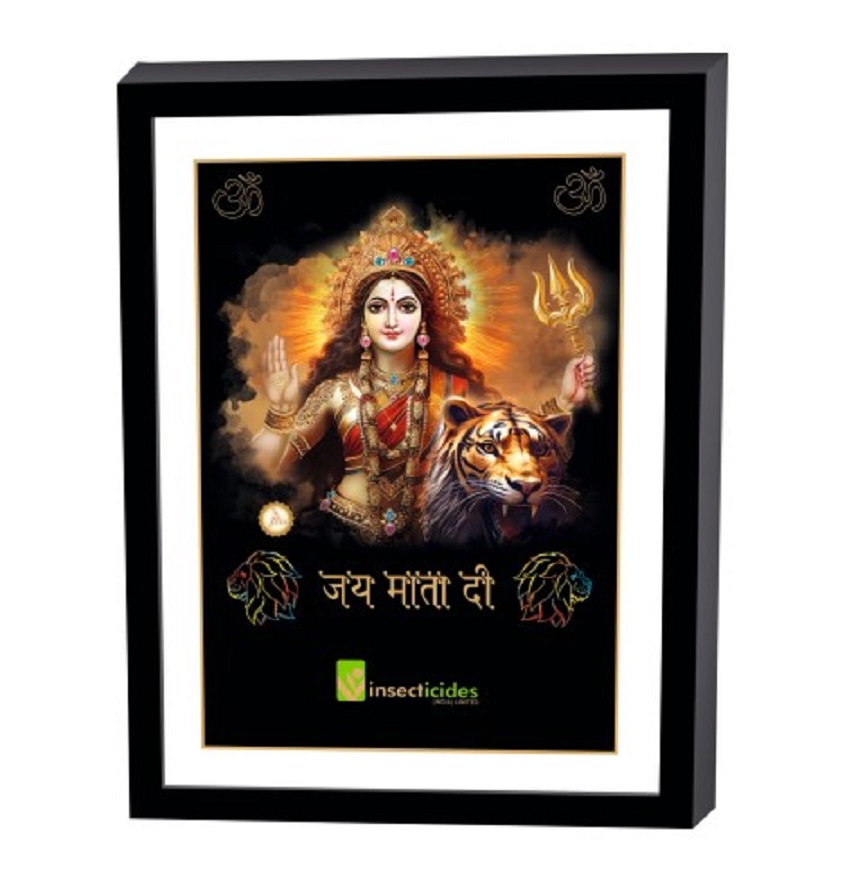 Service Provider of Elegant Art Box Frame & Flat Frame Mata in New Delhi, Delhi, India