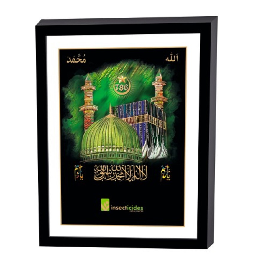 Service Provider of Elegant Art Box Frame & Flat Frame Muslim in New Delhi, Delhi, India