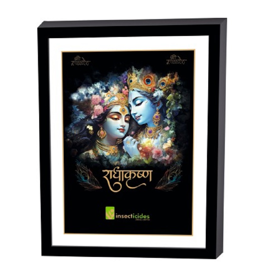 Service Provider of Elegant Art Box Frame & Flat Frame Radha Krishna in New Delhi, Delhi, India