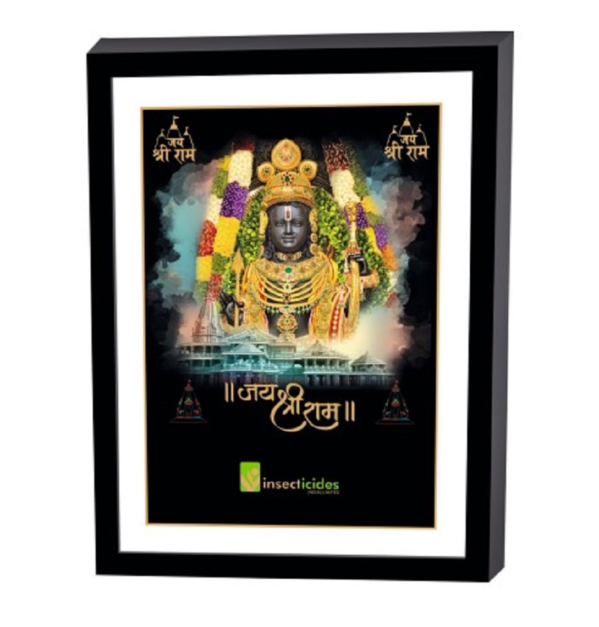 Service Provider of Elegant Art Box Frame & Flat Frame Ram Lalla in New Delhi, Delhi, India