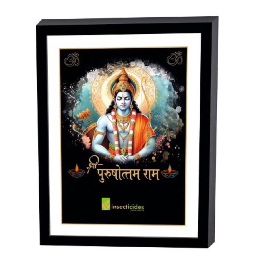 Service Provider of Elegant Art Box Frame & Flat Frame Ram in New Delhi, Delhi, India