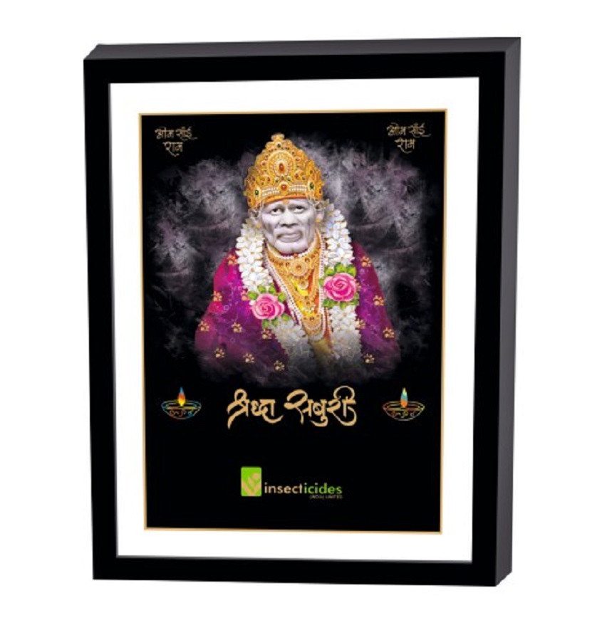 Service Provider of Elegant Art Box Frame & Flat Frame Sai Baba in New Delhi, Delhi, India