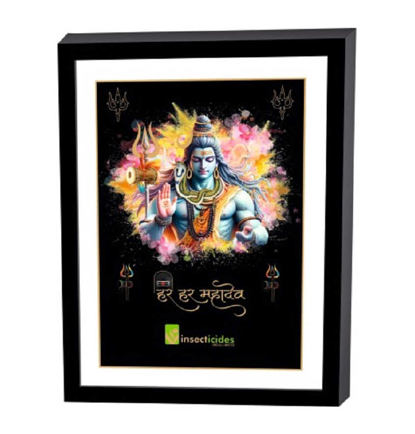 Service Provider of Elegant Art Box Frame & Flat Frame Shankar in New Delhi, Delhi, India