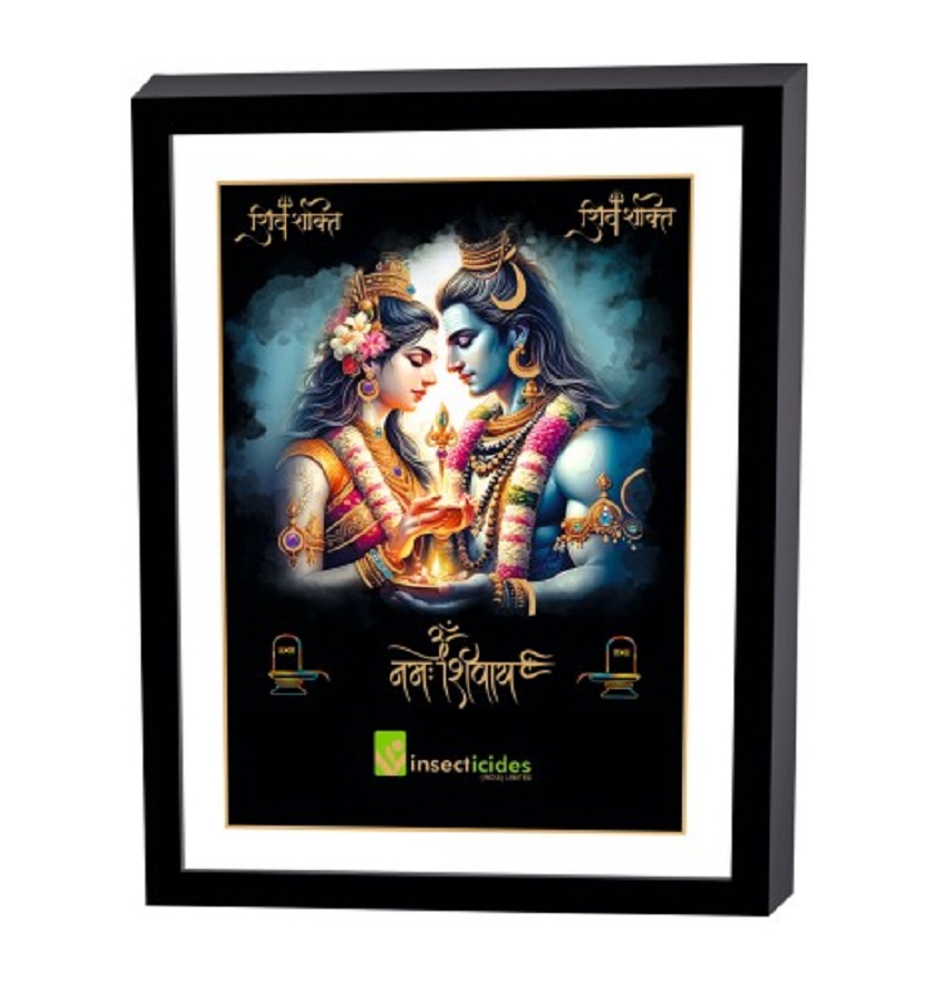 Service Provider of Elegant Art Box Frame & Flat Frame Shiv Parvati in New Delhi, Delhi, India