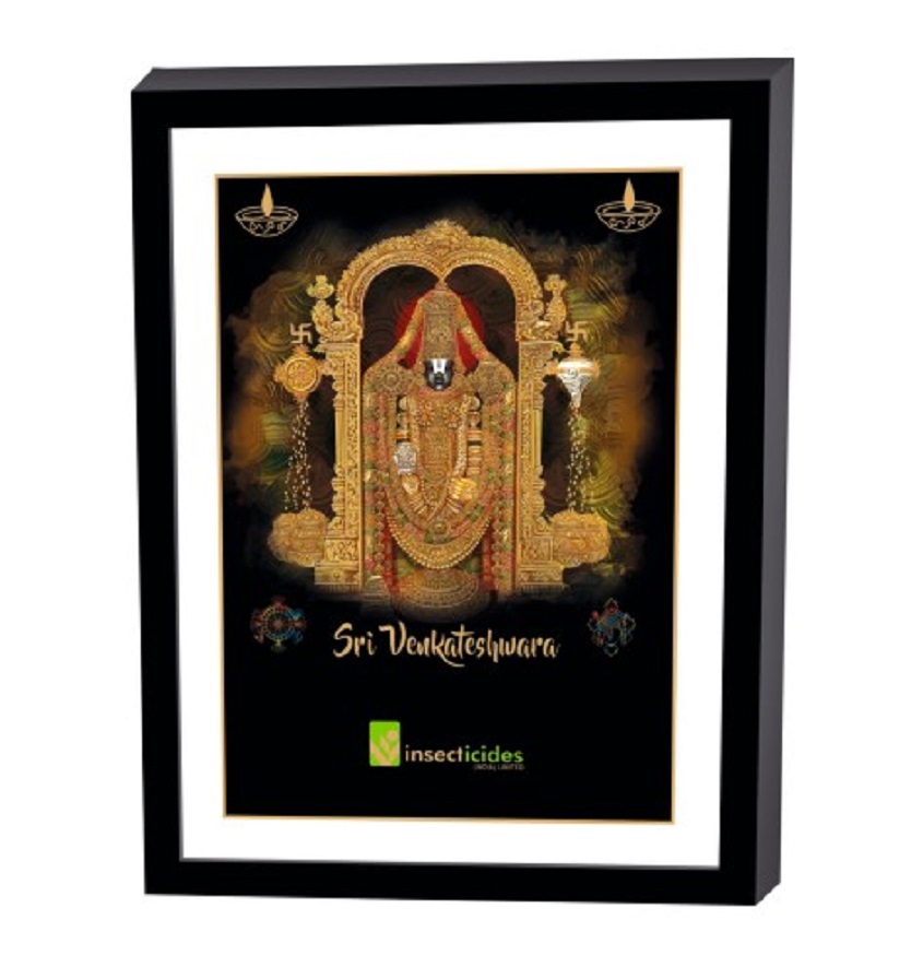 Service Provider of Elegant Art Box Frame & Flat Frame Tirupati in New Delhi, Delhi, India