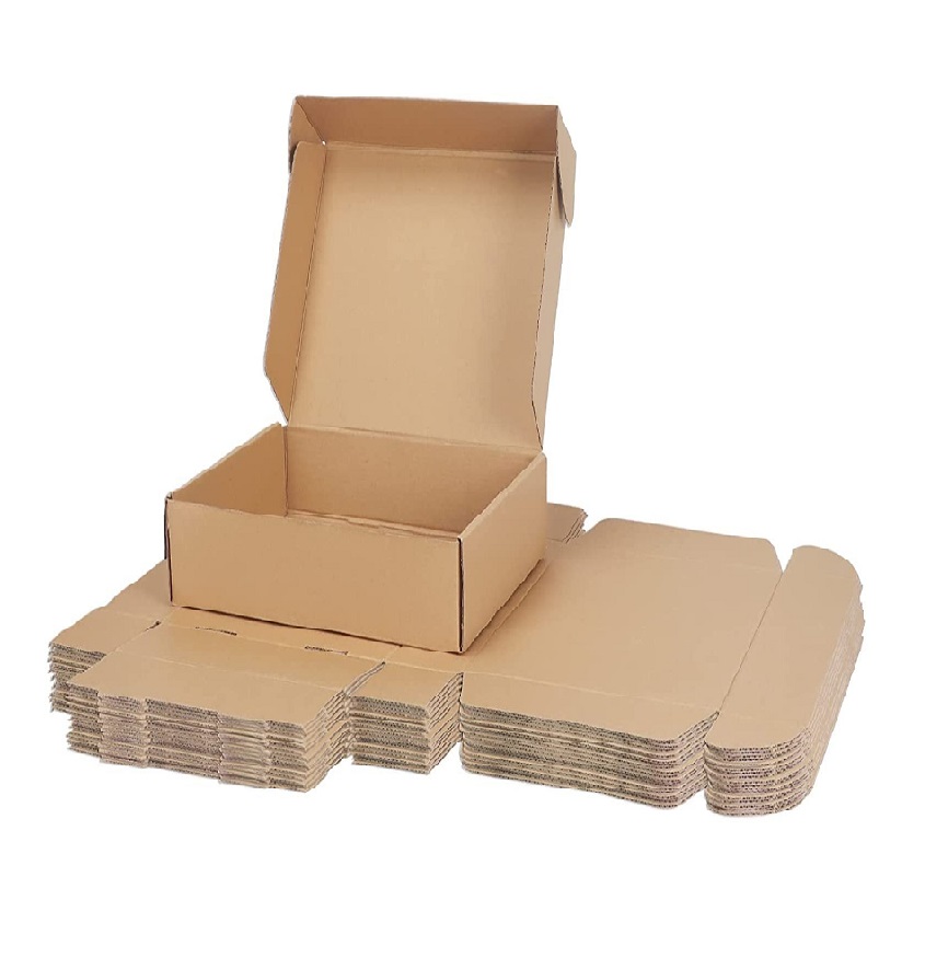 Service Provider of Mailer Box 3 Ply Self Locking Flat Box in New Delhi, Delhi, India