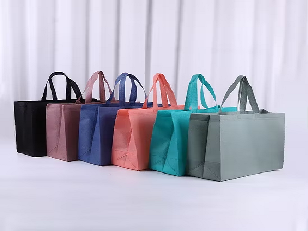 Service Provider of Non Woven Bags in New Delhi, Delhi, India