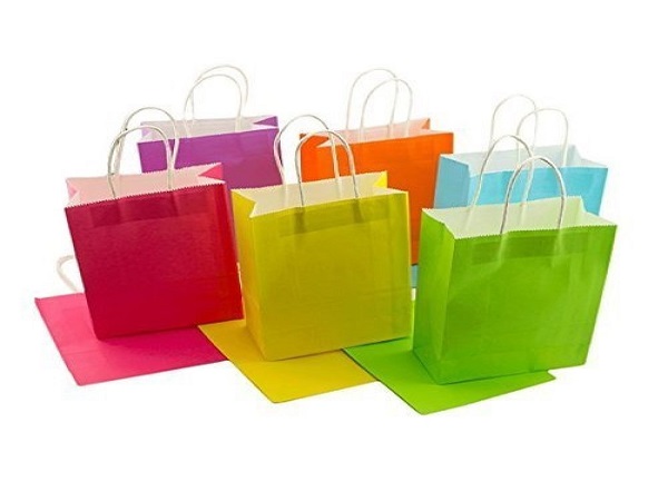 Service Provider of Paper Gift Bags Printing Service in New Delhi, Delhi, India