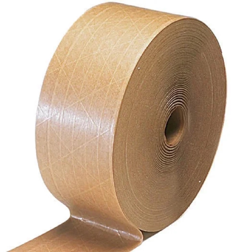 Service Provider of Paper Reinforcement Tapes in New Delhi, Delhi, India