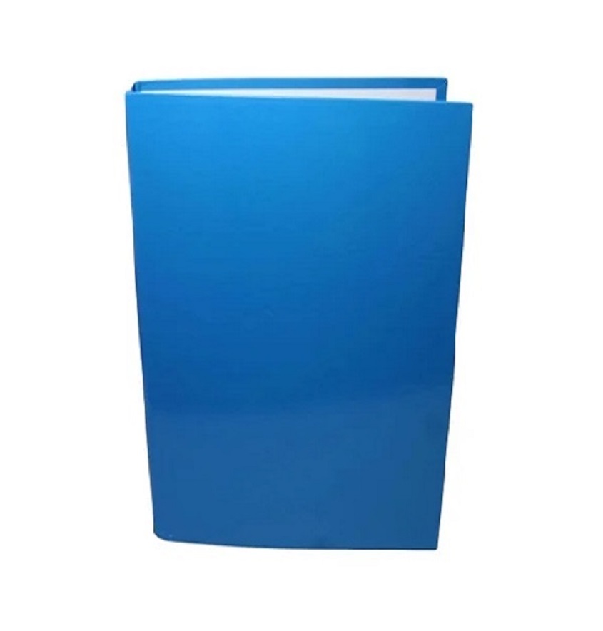 Service Provider of PVC File Folder Printing Service in New Delhi, Delhi, India